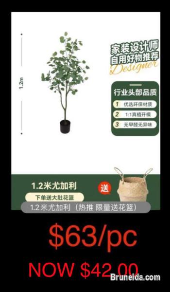Artificial Eucalyptus Plant - image 1