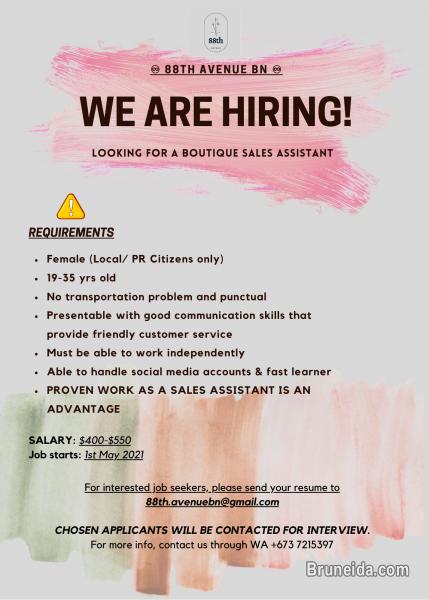 LOOKING FOR BOUTIQUE SALES ASSISTANT - image 1