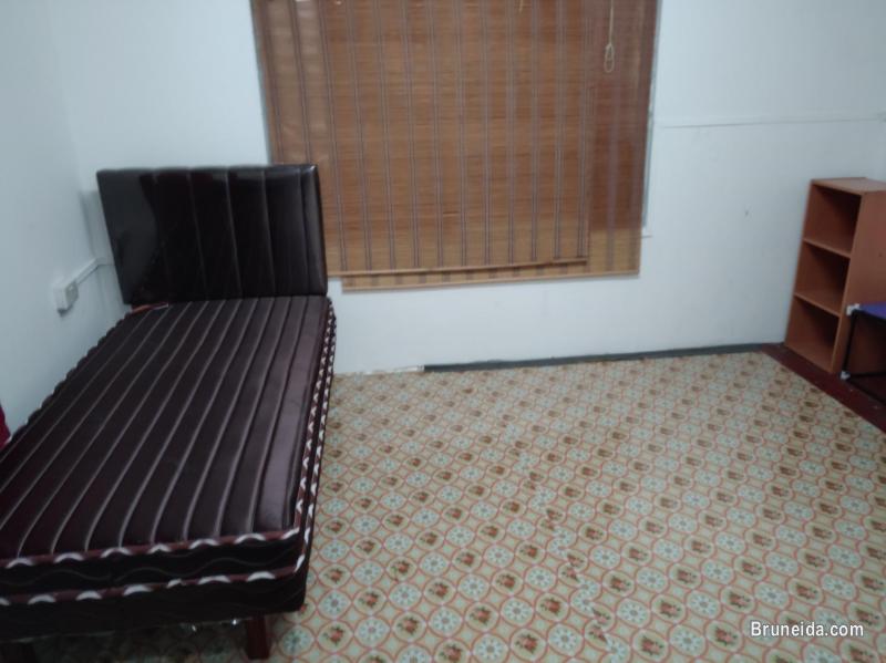 Room For Rent - image 2