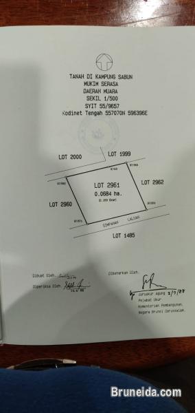 Quality used 2 storey detached house for Sale in Muara district - image 3