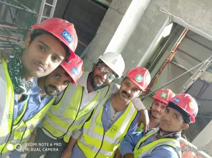 Project Manager - image 1