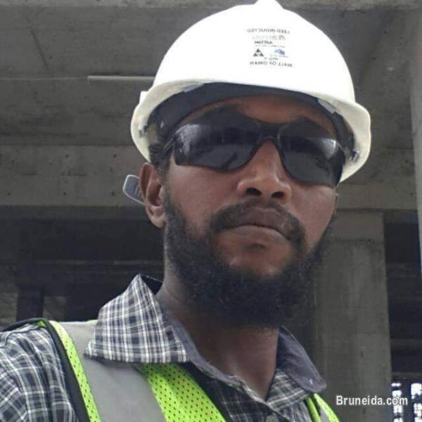 Development Manager - image 1