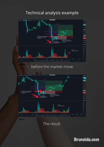 Forex crash courses - image 2