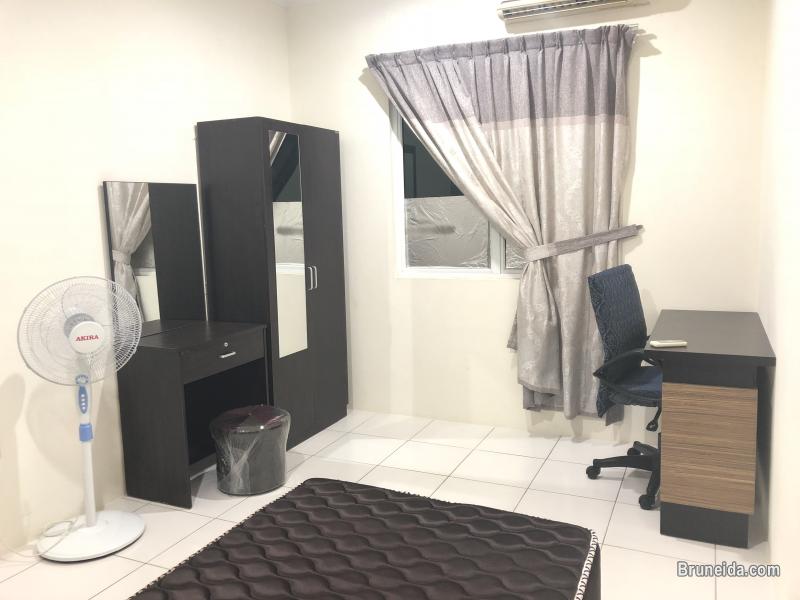 Room for Rent fully Furnish $350 - image 1