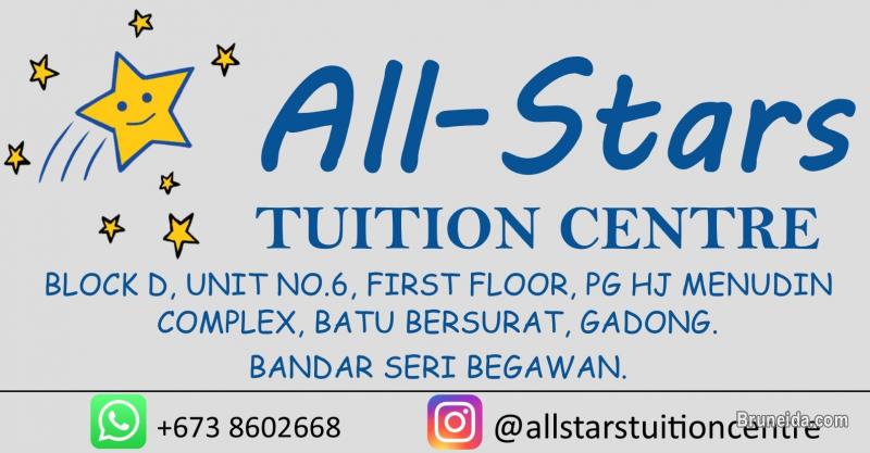 Flyer Distributer - image 1