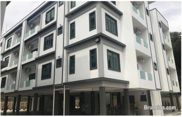 Apartment for rent - image 1