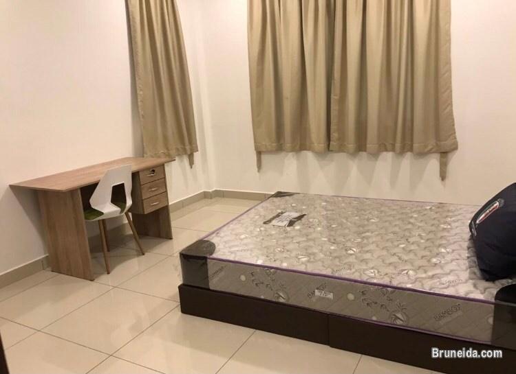 Apartment for rent - image 7