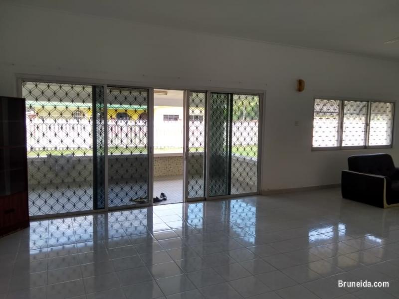 Bungalow with big garden for rent - image 2