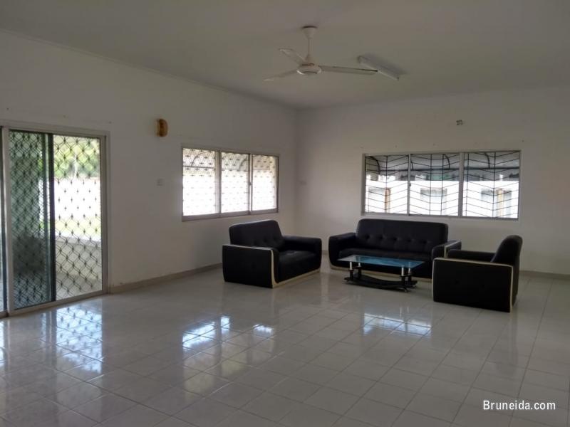 Bungalow with big garden for rent - image 3