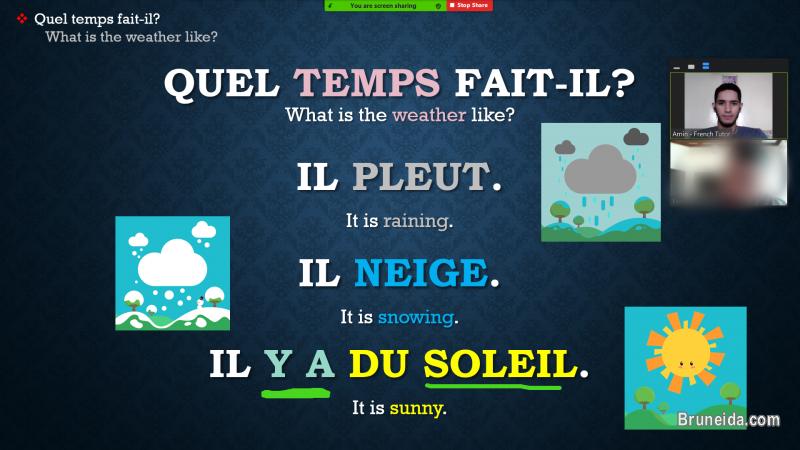 French Tutor: Learn French in Brunei with a Native French Speaker - image 2