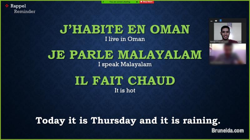 French Tutor: Learn French in Brunei with a Native French Speaker - image 3
