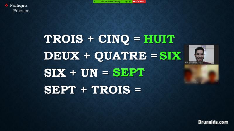 French Tutor: Learn French in Brunei with a Native French Speaker - image 4