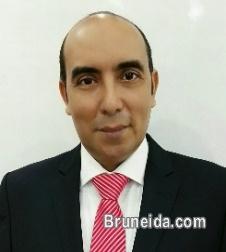 spoke Arabic as a diplomat - image 6