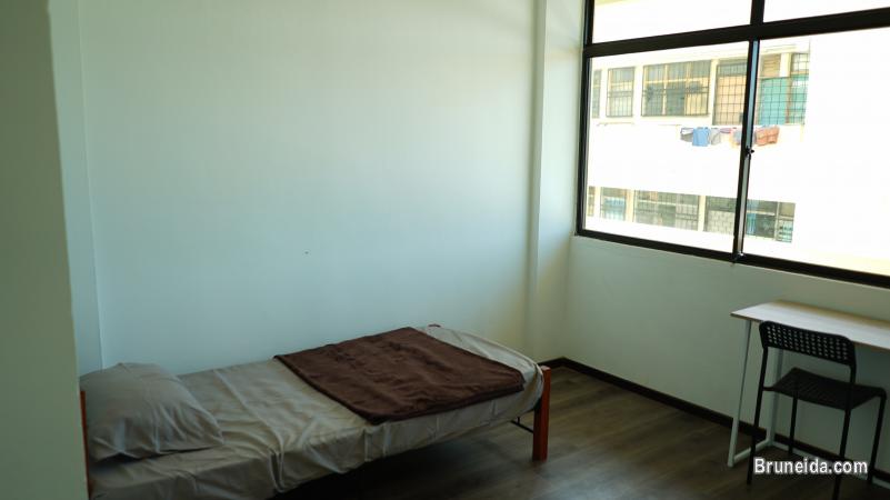 Room for rent $290 area Gadong - image 3