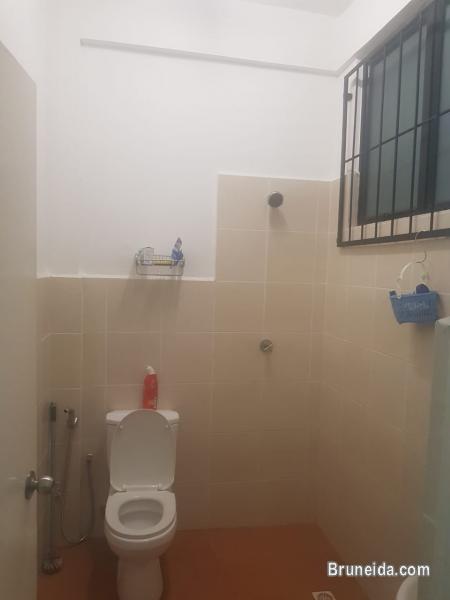 Furnished rooms for rent $290 - image 4