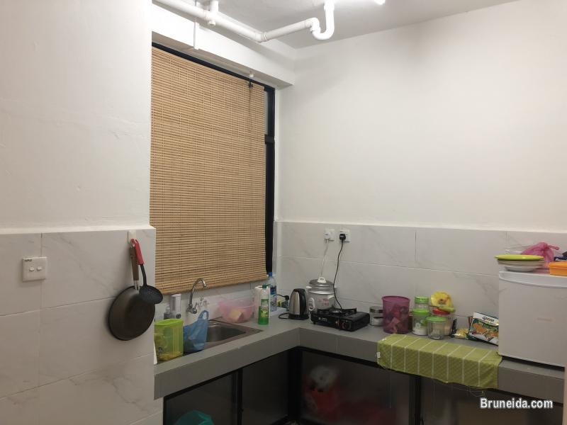 Furnished room for rent $310 - image 2