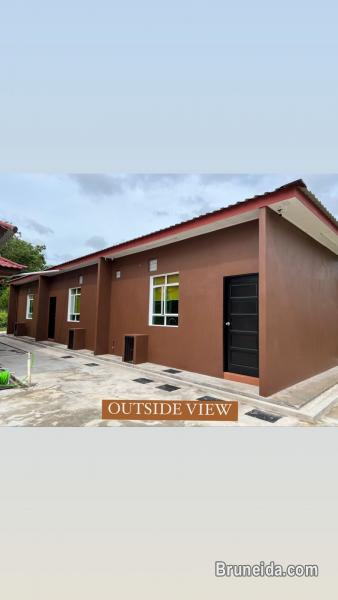 House for rent@kg kulapis - image 1