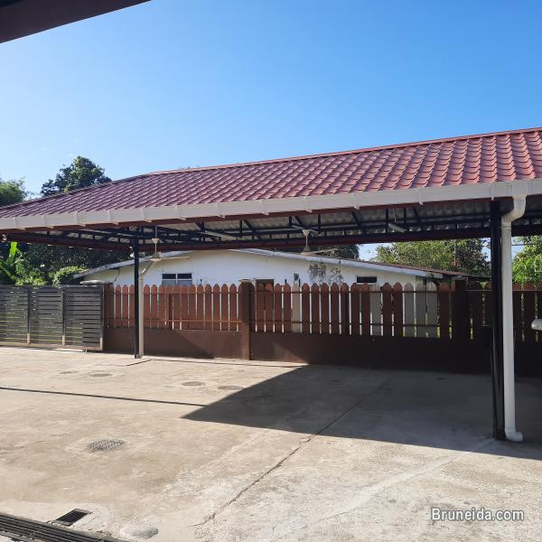 House for rent@kg kulapis - image 6