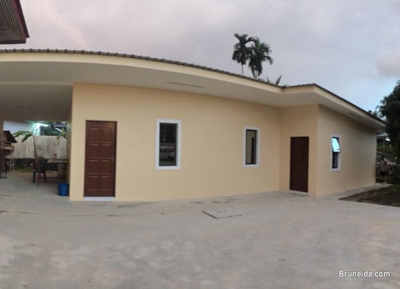 Bungalow house for rent - image 1