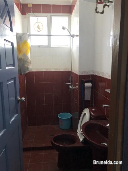 Fully Furnished Apartment for Rent. - image 12