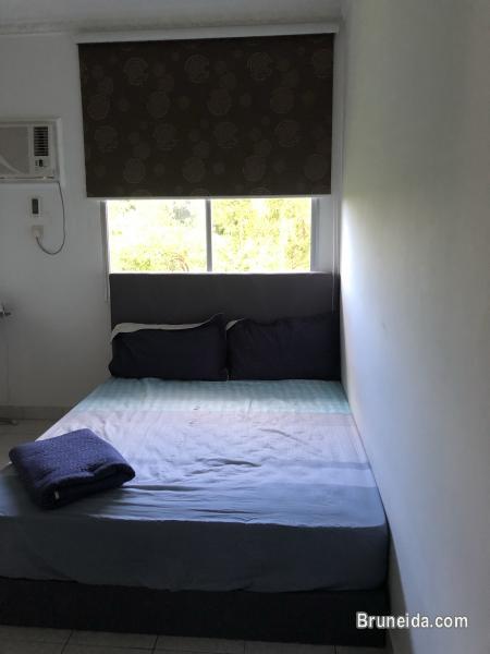 Fully Furnished Apartment for Rent. - image 9