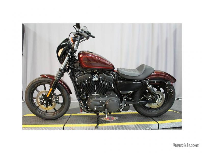 2019 Harley-Davidson XL 1200NS - Sportster Iron 1200 for sell - image 3