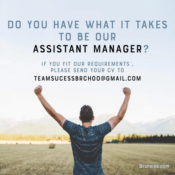 Assistant Manger - image 1