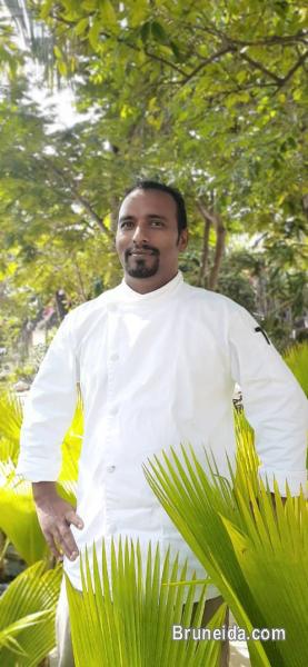 Executive chef / Head chef - image 1