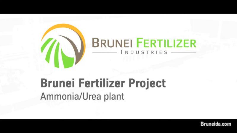 Piping & Mechanical Inspector - image 1