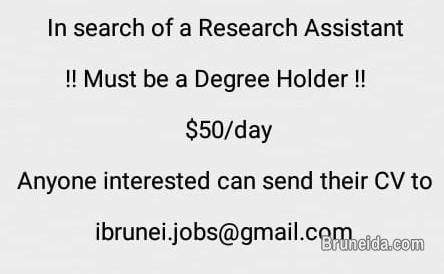 Research Assistant Wanted - image 1