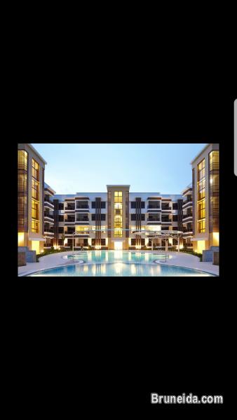 Room for rent in apartment with swimming pool - image 1