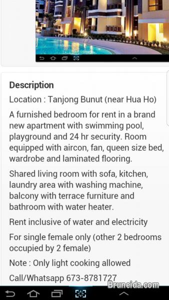Room for rent in apartment with swimming pool - image 2