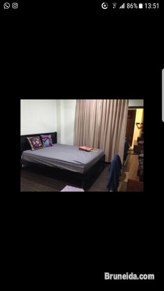 Room for rent in apartment with swimming pool - image 5