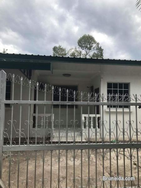 Tanjong Bunut for rent $700 nego - image 1