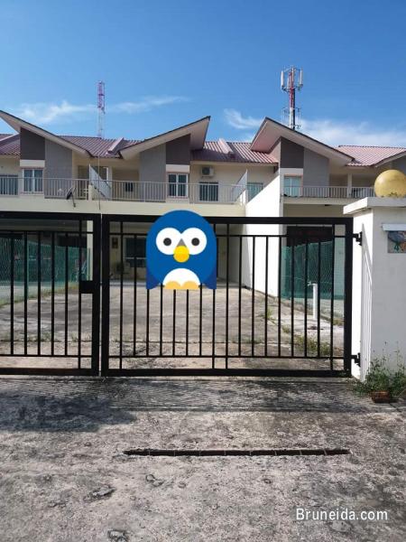 Mata-mata for rent 1k - image 1