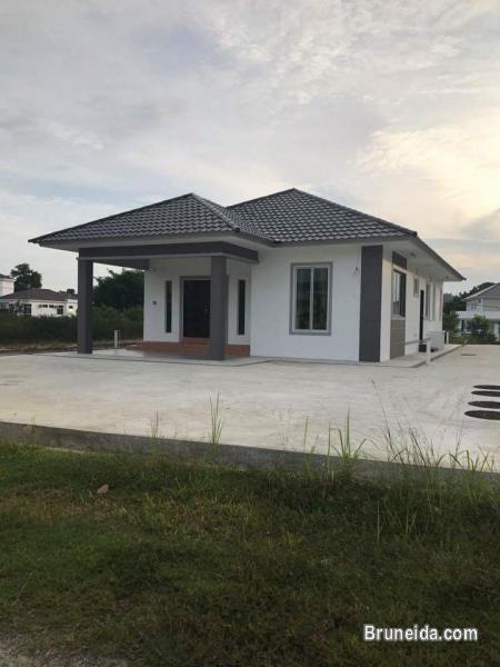 Selayun for rent - image 1