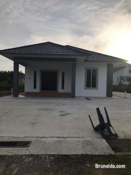 Selayun for rent - image 2