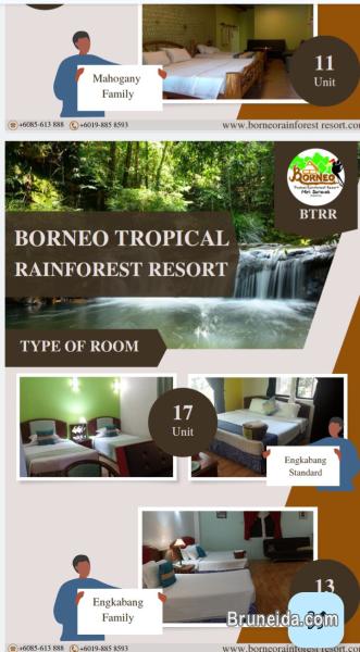 trip ke borneo tropical resort - image 3