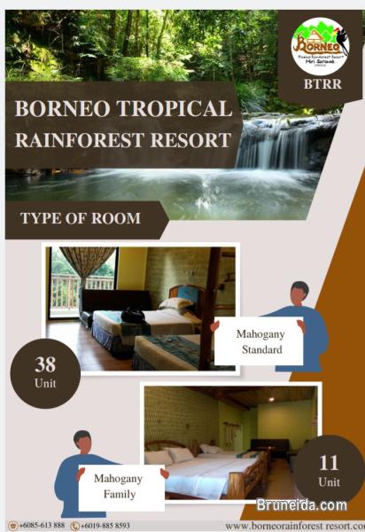 trip ke borneo tropical resort - image 4