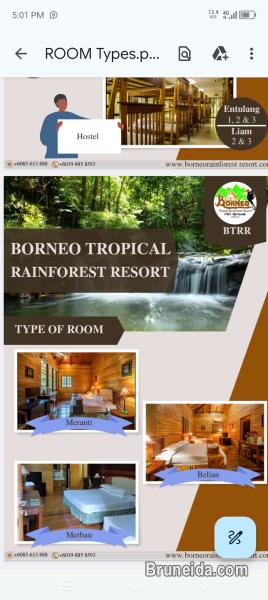 trip ke borneo tropical resort - image 5