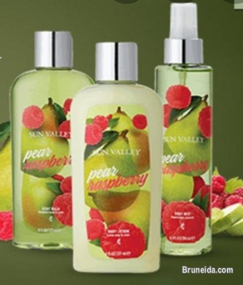 Sun Valley - image 2