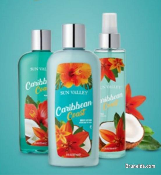 Sun Valley - image 3