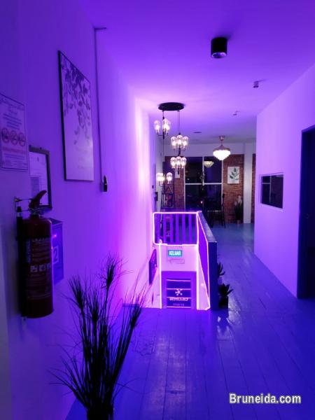 Flexi Desk Office $100 month in Co. Circle locations (5 centres) - image 10