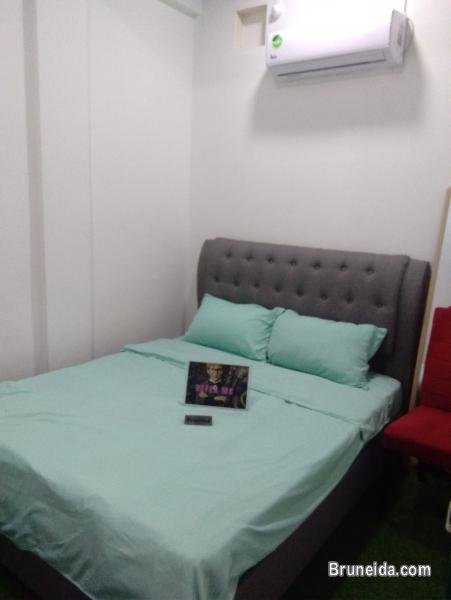 Private Room For Rent - image 6