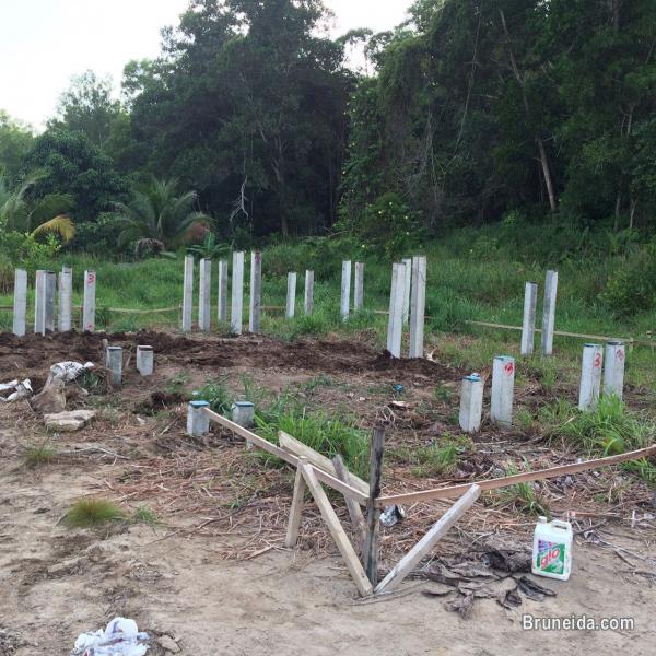 Proposed Double storey Detached house on lease land for Sale - image 2