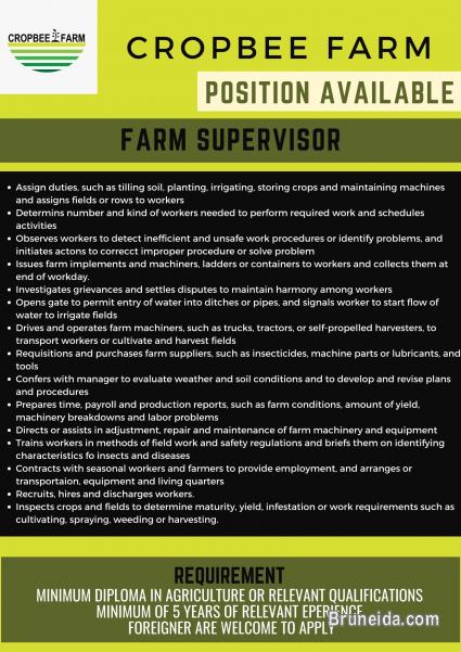 Job Vacancy As Farm supervisor, Farm labour, Account assistant - image 4