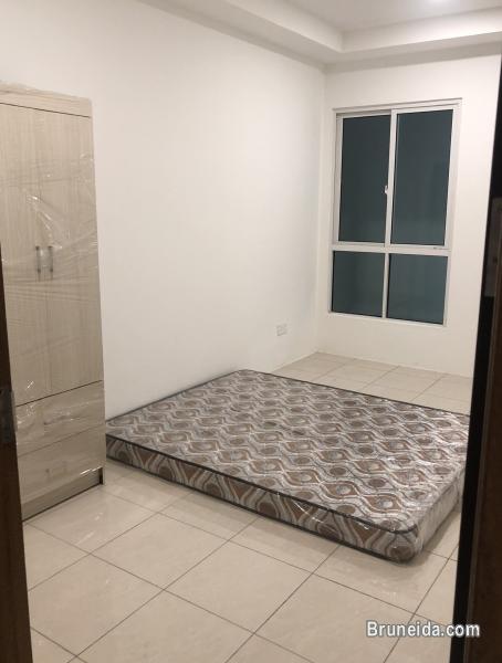 Room for rent - image 2