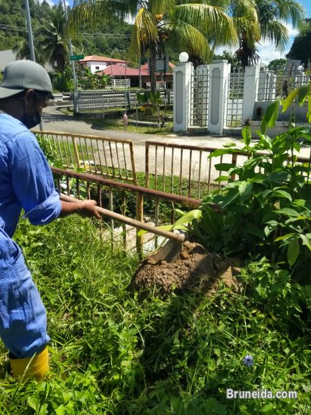 LOW COST PEST CONTROL SERVICE FOR YOUR OFFICE, HOME - image 2