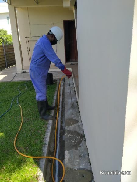LOW COST PEST CONTROL SERVICE FOR YOUR OFFICE, HOME - image 3
