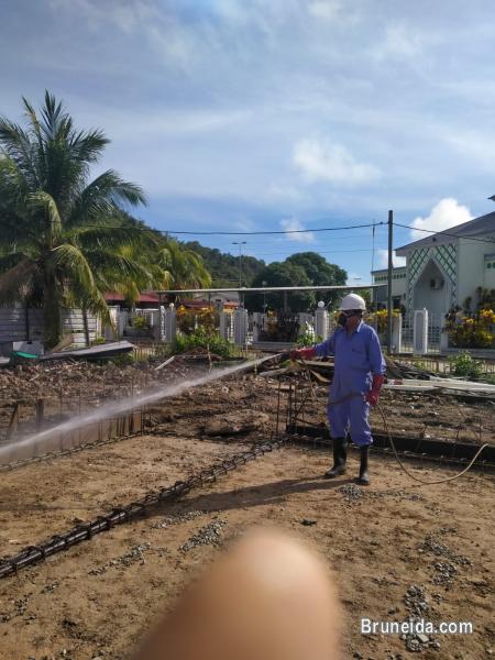 LOW COST PEST CONTROL SERVICE FOR YOUR OFFICE, HOME - image 4